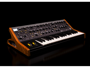 Moog Music SubSequent 37