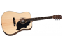 Gibson G-Bird MCSSGHAN