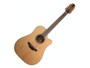 Takamine TAK-P3DC-12