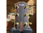 Taylor 810 + LR Bagg Dual Source