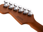 Charvel Pro-Mod DK24 HSS 2PT CM Ash, Caramelized Maple Fingerboard, Red Ash