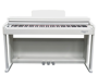 Echord DPX100 Bianco Lucido