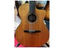 Taylor NS24CE
