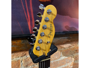 Fender American Professional II Telecaster RW Dark Night