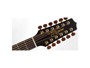 Takamine TAK-P3DC-12