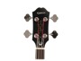 Epiphone Jack Casady Metallic Gold immagine alternativa  2