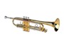 Alysee Tr-6333 - Laccata immagine alternativa  1