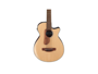 Ibanez AEGB30ENTG alternative image  1