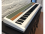 Korg SP250