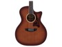 D'angelico Premier Gramercy caramel burst alternative image  1