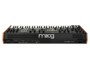 Moog Music Muse