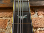 Schecter Omen Extreme 5