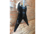 Epiphone Zakk Wylde Signature ZV Custom Ebony