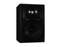 Behringer B2030A Truth