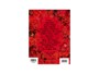 Hal Leonard Ed Sheeran: Equals