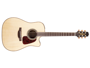 Takamine P4DC