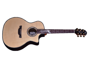 Crafter PK-G-1000CE