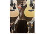 Taylor 810 + LR Bagg Dual Source