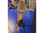 Neumann KMS 105 immagine alternativa  2