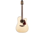Takamine P4DC
