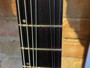 Jackson Pro Series Dinky DK Modern EverTune 7 immagine alternativa  4