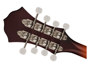 Fender PM-180E Mandolin Aged Cognac Burst