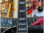 Ltd EC-1000 Black Natural Burst immagine alternativa  5