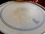 Remo Quadura Lamborghini Drumset
