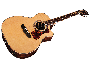 Guild OM-250CE Reserve Natural