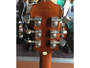 Epiphone Les Paul Standard