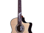 Crafter PK-G-1000CE