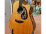 Breedlove Pursuit Dread alternative image  3
