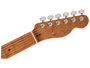 Fender American Professional II Telecaster, Roasted Maple Butterscotch Blonde