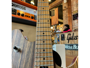 Evh Wolfgang WG Standard Exotic Koa + Gigbag immagine alternativa  3