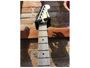 Charvel Pro-Mod San Dimas Style 1 HSS FR M Platinum Pearl