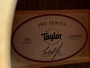 Taylor 110E