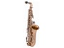 Sml VSM A620-II Sax 600 Contralto immagine alternativa  1