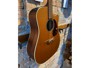 Takamine EAN10C