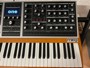 Moog Music ONE 8 voci