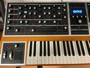 Moog Music ONE 8 voci