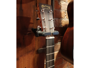 Martin D1GT