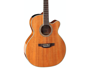 Takamine GN77KCE-NAT Natural