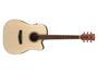 Ibanez PF10CE Open Pore Natural