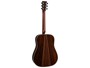 Martin D-35 (2025)