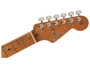 Fender American Professional II Stratocaster, Roasted Maple Fingerboard, Anniversary 2 alternative image  7