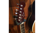 Fender Sierra Vista