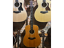 Taylor 810 + LR Bagg Dual Source