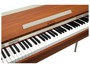 Donner DDP-80 Plus