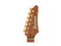 Ibanez SLM10 TRM Scott LePage Signature - Transparent Red Matte