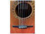 Taylor NS24CE